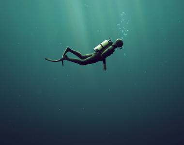 diving in the depths of the ocean when the markets are down