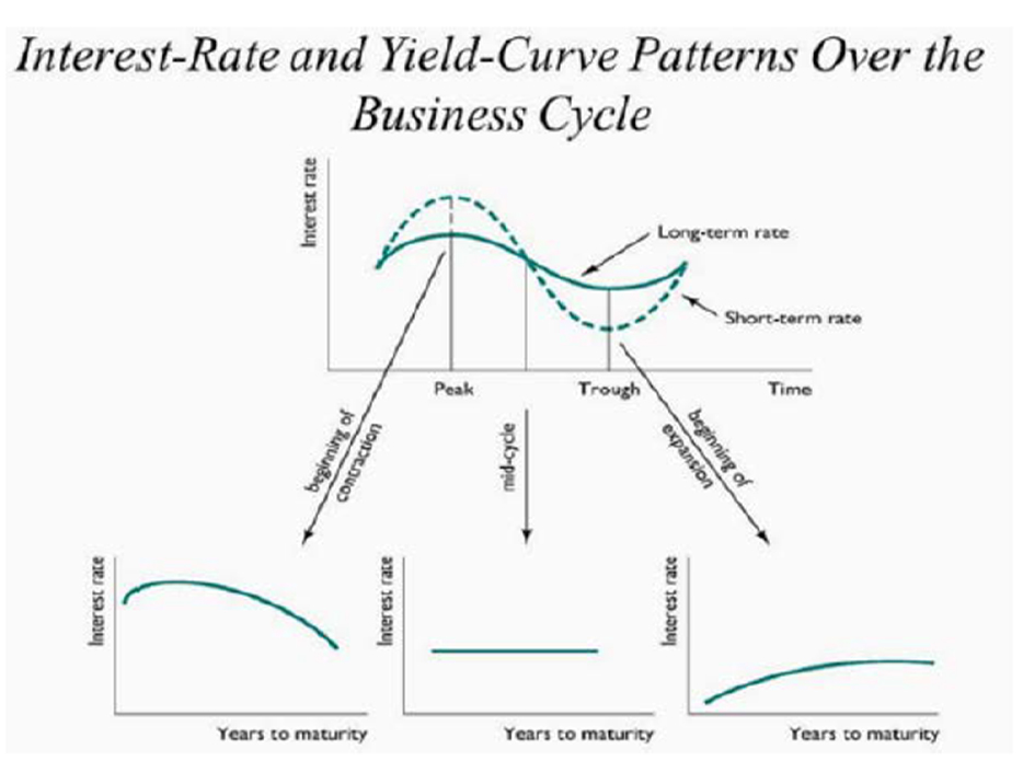 Interest-Rate and Yield-Curve Patterns Over the Business Cycle