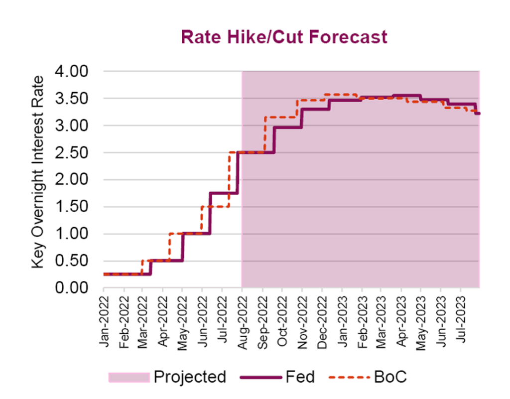 Rate Hike - Cut Forecast