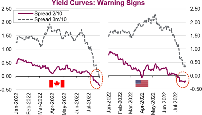 Yield Curves - Warning Signs