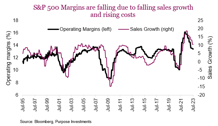 S&P 500 Margins are falling due to falling sales growth and rising costs