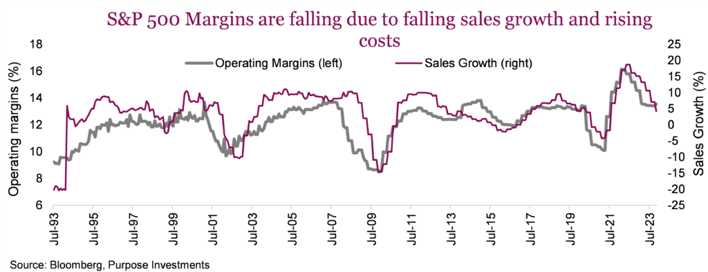S&P 500 Margins are falling due to falling sales growth and rising costs