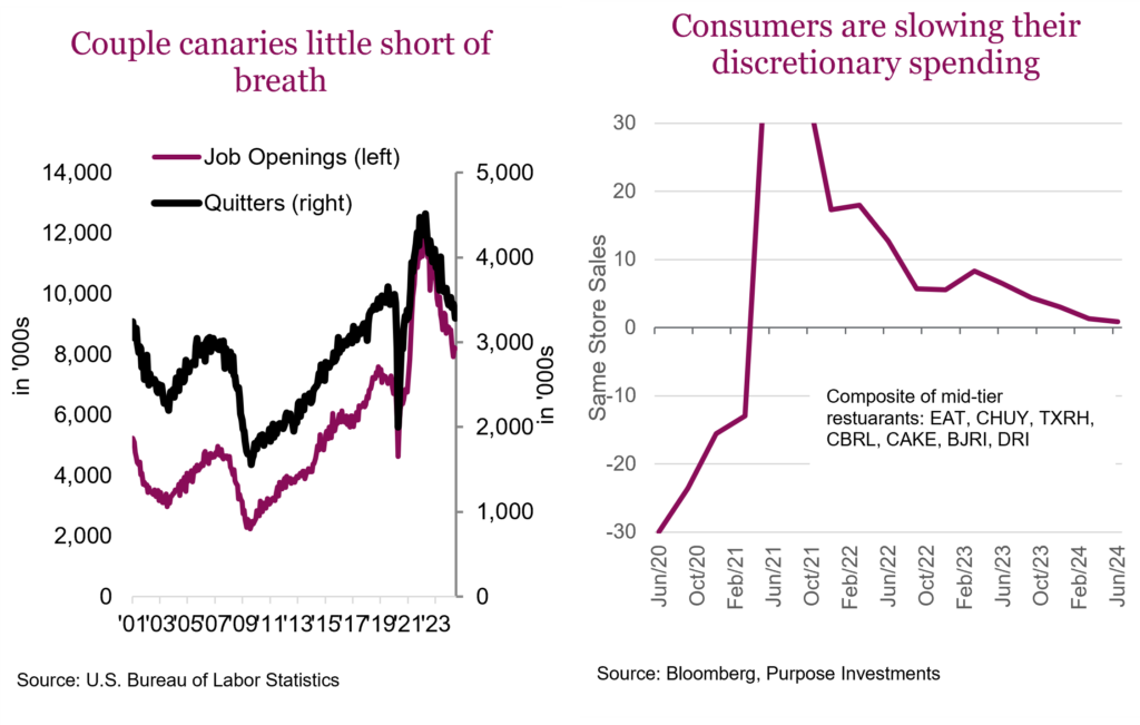 Couple canaries little short of breath

Consumers are slowing their discretionary spending