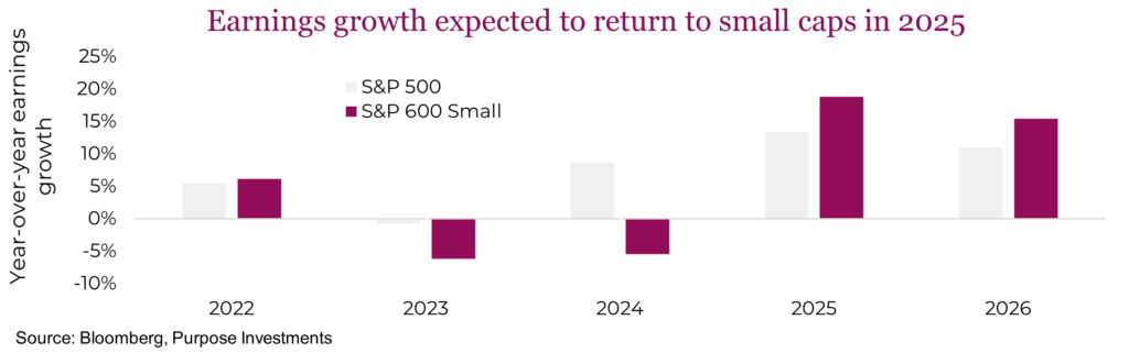 Earnings growth expected to return to small caps in 2025