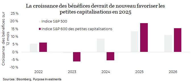 La croissance des bénéfices devrait de nouveau favoriser les petites capitalisations en 2025