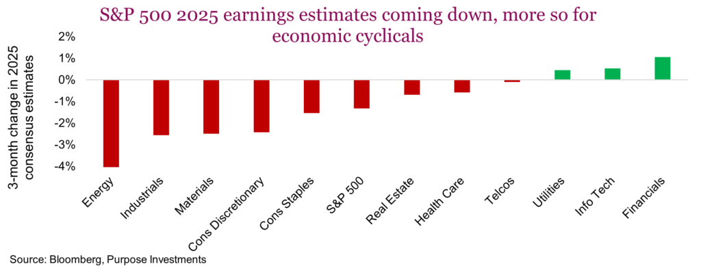 S&P 500 2025 earnings estimates coming down, more so for economic cyclicals