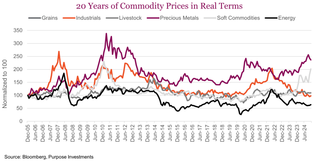 20 Years of Commodity Prices in Real Terms