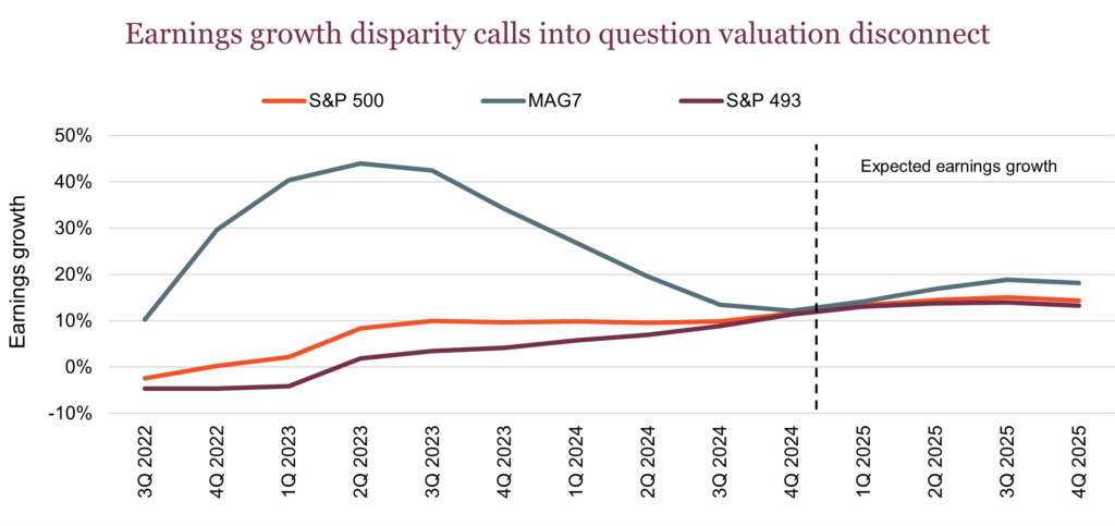 Earnings growth disparity calls into question valuation disconnect