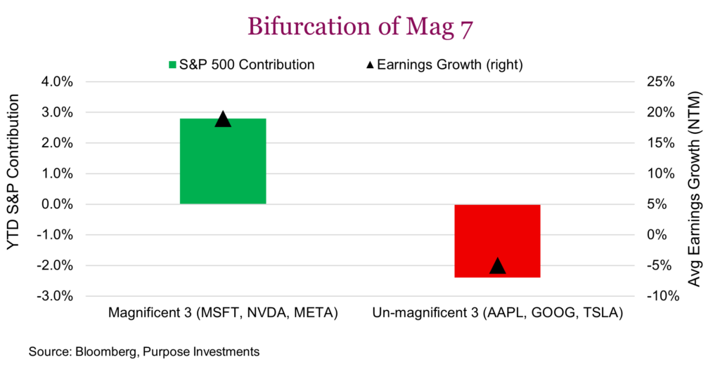 Bifurcation of Mag 7