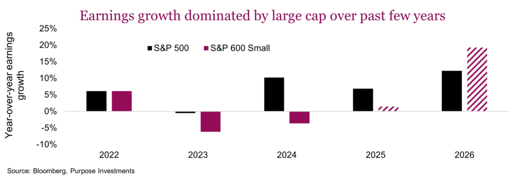 Earnings growth dominated by large cap over past few years