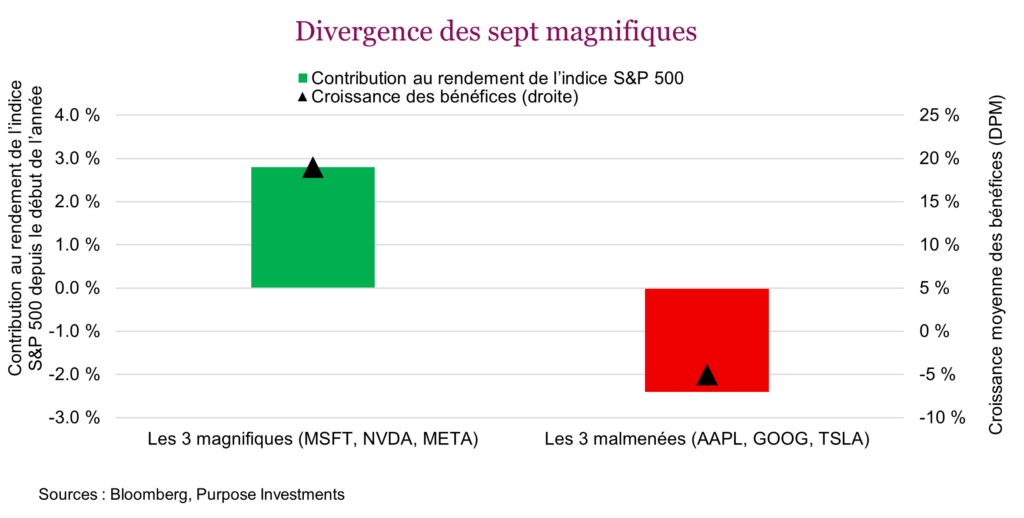 Divergence des sept magnifiques