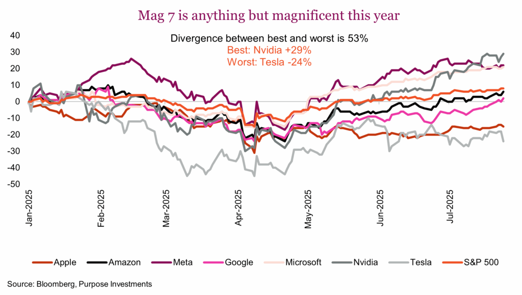 Mag 7 is anything but magnificent this year