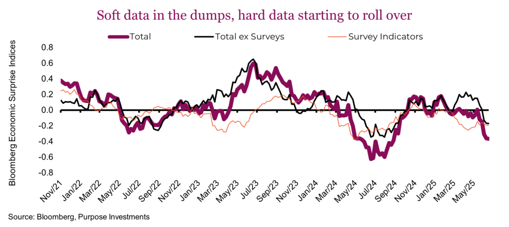 Soft data in the dumps, hard data starting to roll over