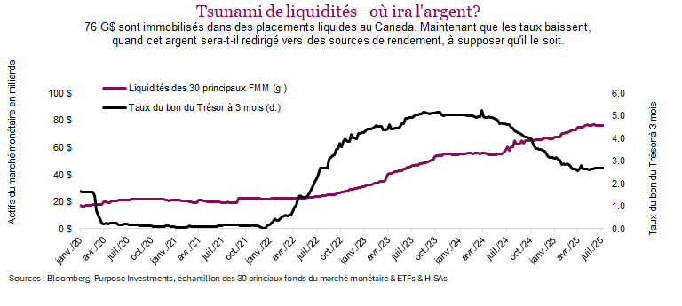 Tsunami de liquidités - où ira l'argent?