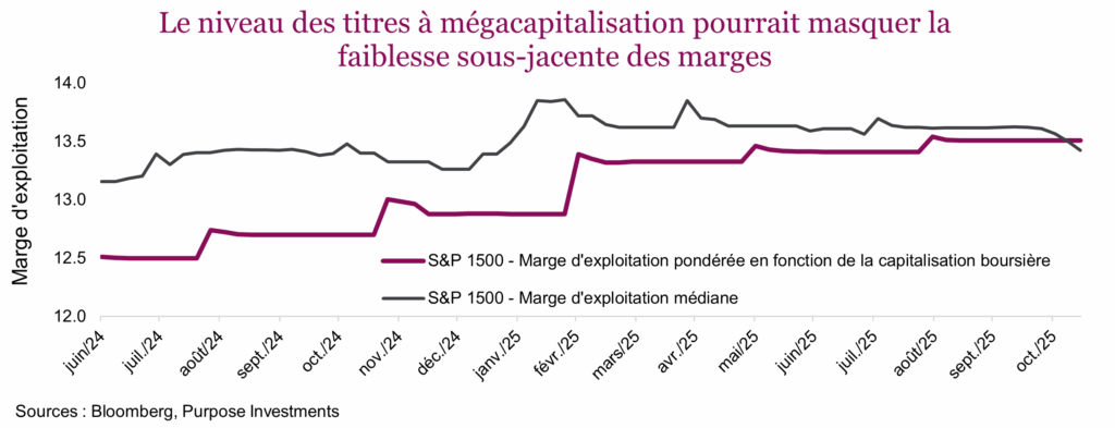 Le niveau des titres à mégacapitalisation pourrait masquer la faiblesse sous-jacente des marges