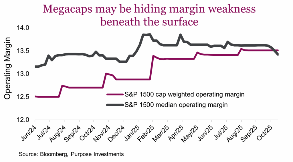Megacaps may be hiding margin weakness beneath the surface