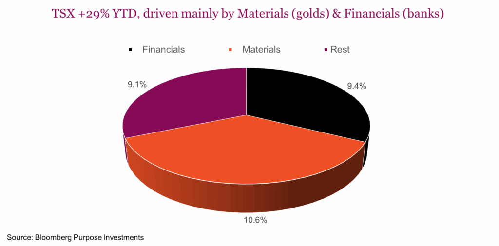 TSX +29% YTD, driven mainly by Materials (golds) & Financials (banks)