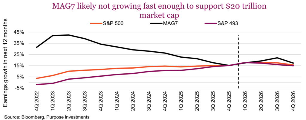 MAG7 likely not growing fast enough to support $20 trillion market cap