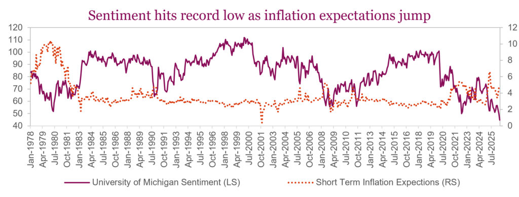 Sentiment hits record low as inflation expectations jump