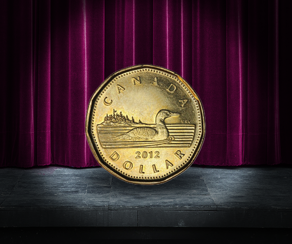 Spotlight on the dollar