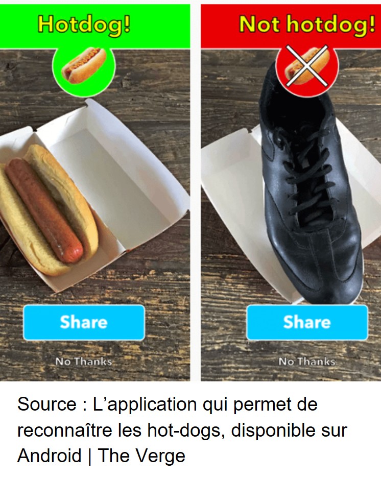 L’application qui permet de reconnaître les hot-dogs, disponible sur Android | The Verge 