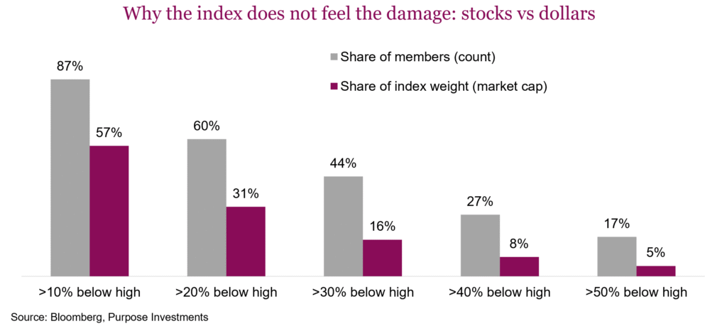 Why the index does not feel the damage: stocks vs dollars